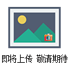 SFW6110C*自動升降工作燈 2*1000W金鹵燈移動照明車